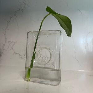 Bud Vase Clear Glass